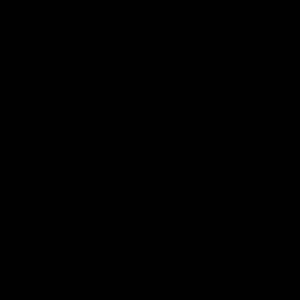 Meet your Posher, Logan